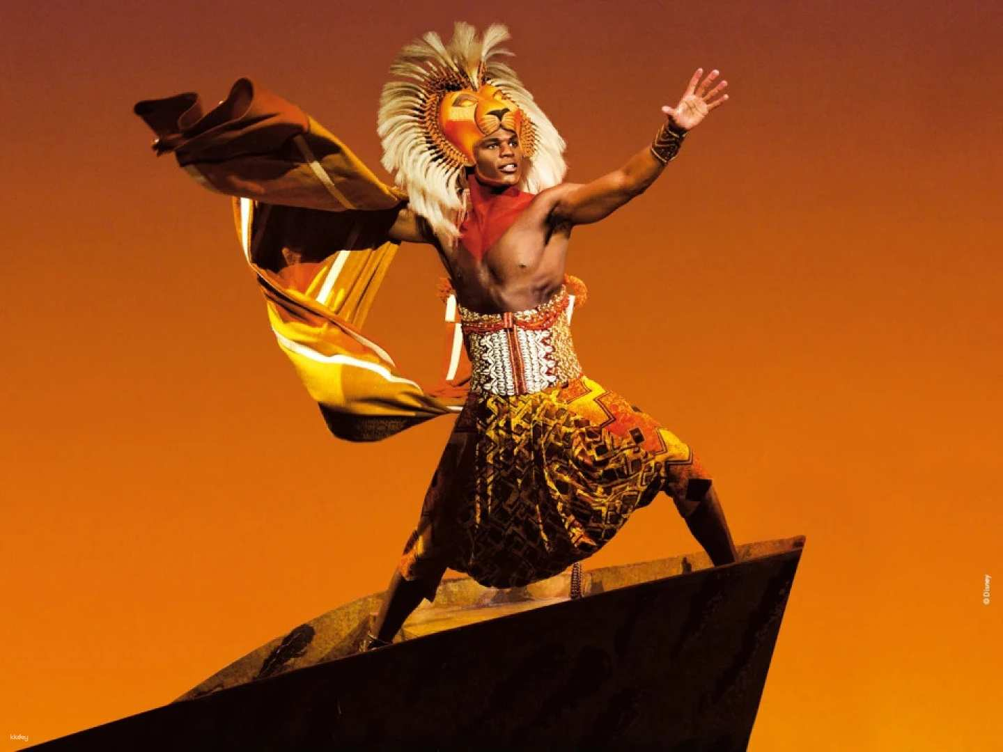 The Lion King at Lyceum Theatre Tickets - Photo 1 of 5